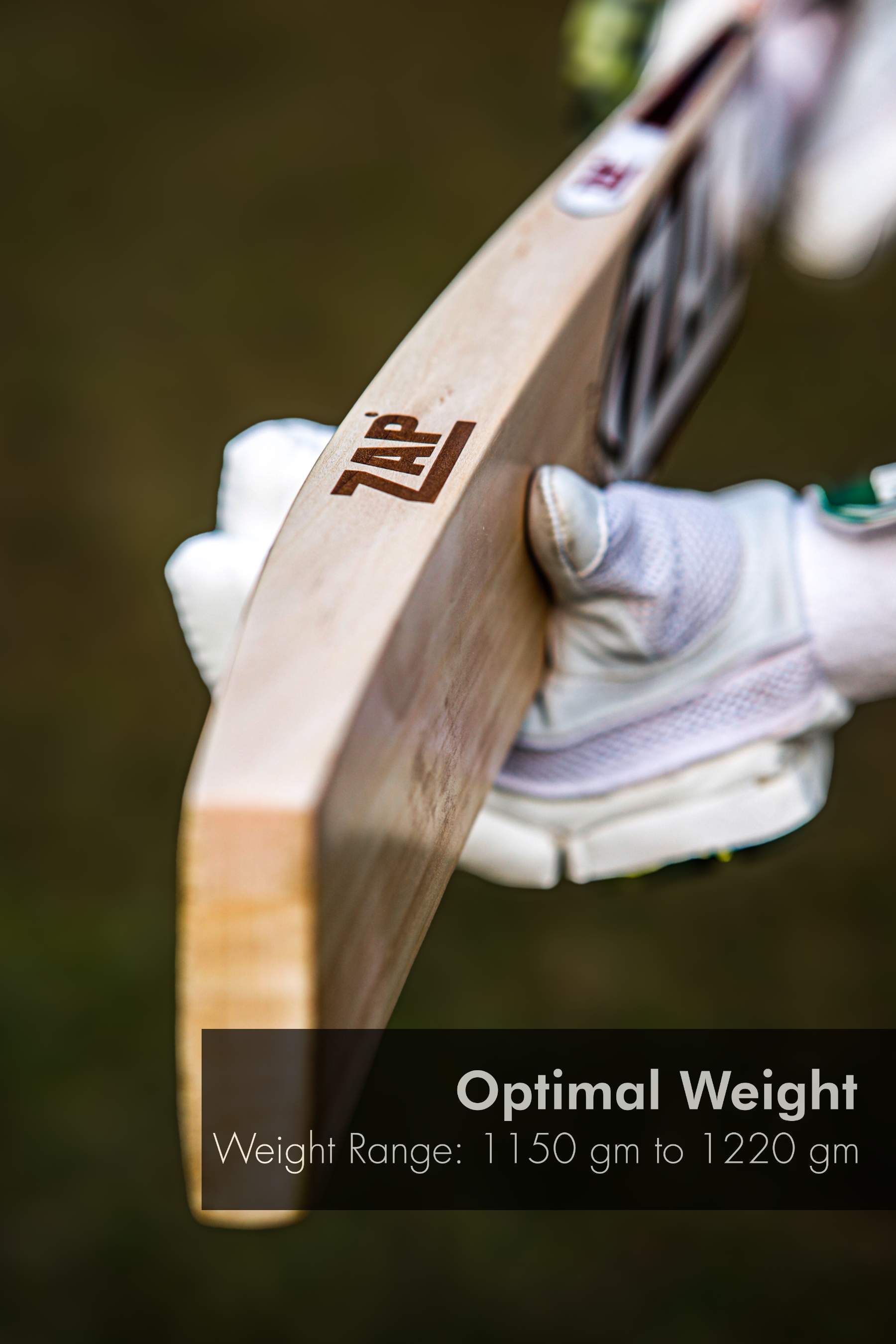 ZAP Instinct Kashmir Willow Bat